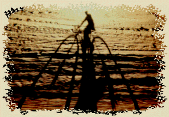 November 3, 2000(a).jpg (76422 bytes)