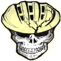 skull.gif (54168 bytes)